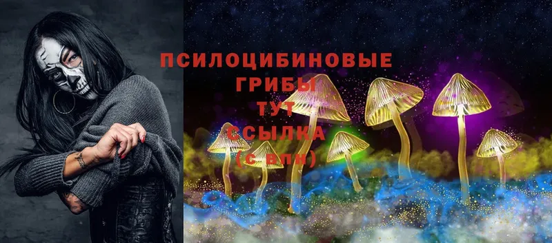 Галлюциногенные грибы Psilocybe  Орлов 